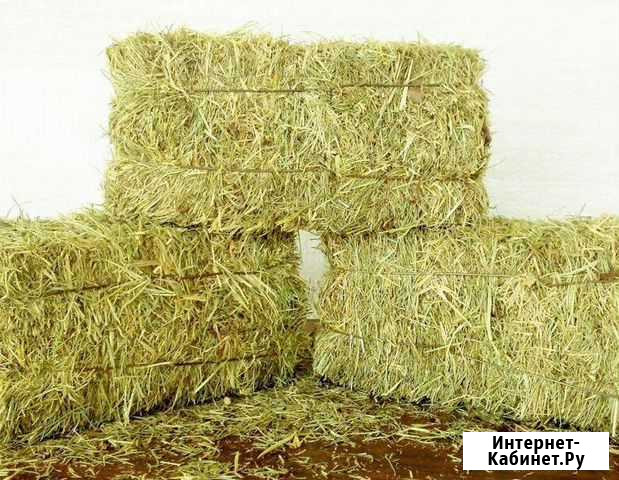 Продам сено и солому 2020г. Брикеты Коченево - изображение 1