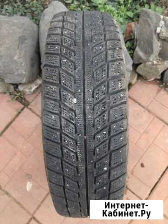 Шина зимняя R13 175/70 Belshina (1шт) Ростов-на-Дону - изображение 1