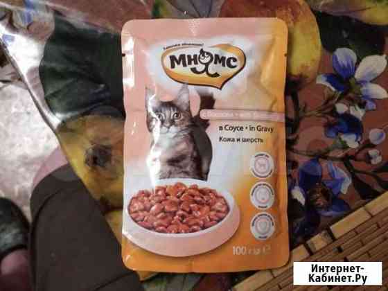 Корм для кошек Санкт-Петербург