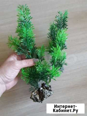 Украшение для аквариума Первоуральск - изображение 1