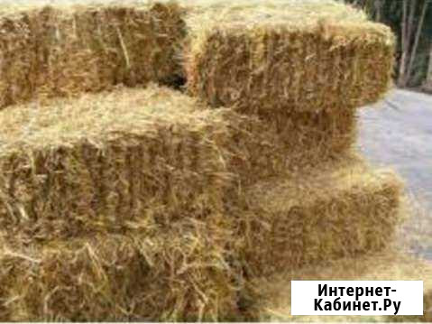 Солома ячменная в тюках Краснокумское - изображение 1