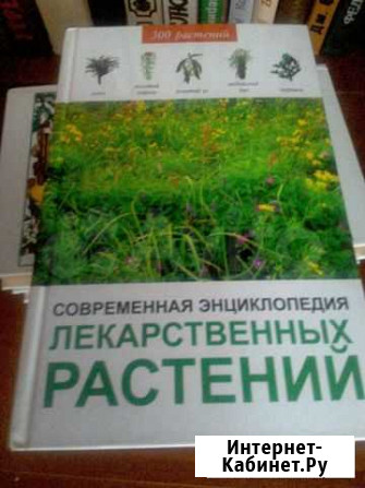 Лекарственный растения.Современная энциклопедия Нижний Тагил - изображение 1