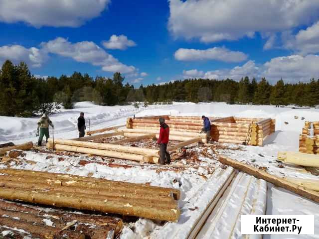 Срубы готовые зимний лес Казань - изображение 1