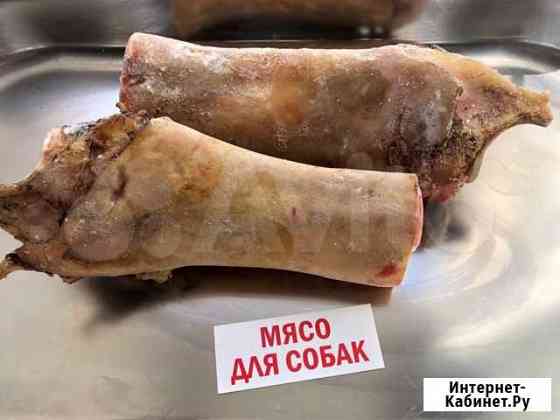 Нога говяжья / Мясо для собак Александров