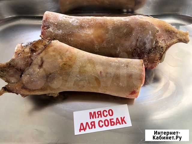 Нога говяжья / Мясо для собак Александров - изображение 1