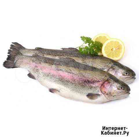 Форель радужная Сочи