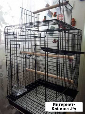 Клетки новые Ростов-на-Дону - изображение 1