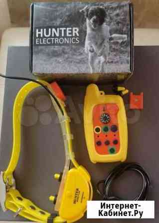 GPS ошейник Hunter + Ивантеевка