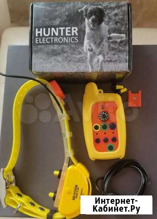 GPS ошейник Hunter + Ивантеевка - изображение 1