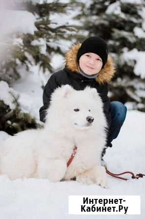 Фотограф Зеленодольск - изображение 1