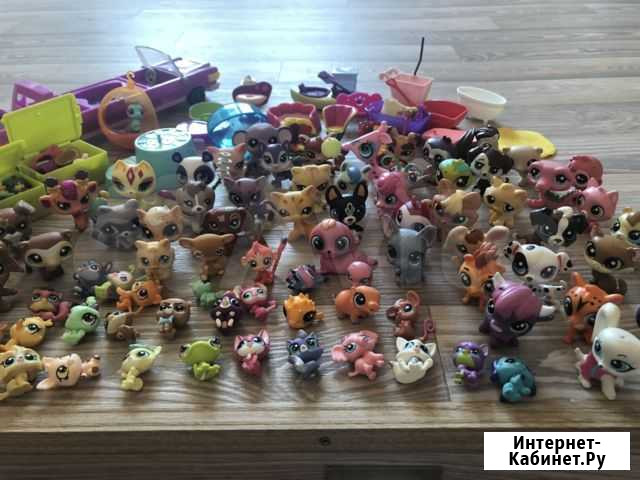 Little pets shop Челябинск - изображение 1