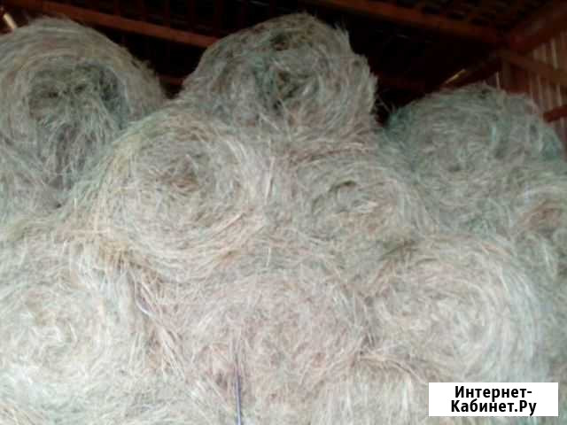 Продам сено Архангельск - изображение 1