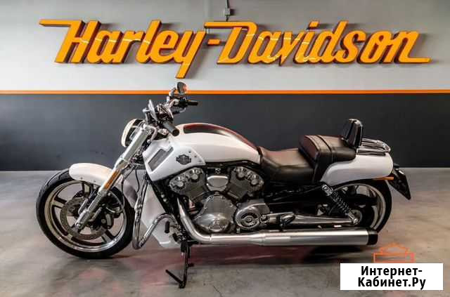 Harley-Davidson V-ROD muscle Санкт-Петербург - изображение 1