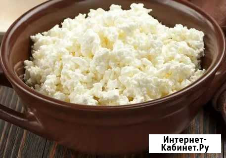Творог домашний Краснодар - изображение 1