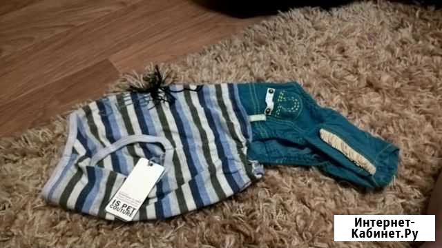 Одежда для собак Челябинск - изображение 1