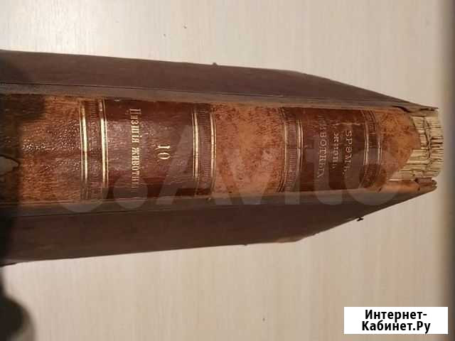 Книга Жизнь животных Брэма Омск - изображение 1