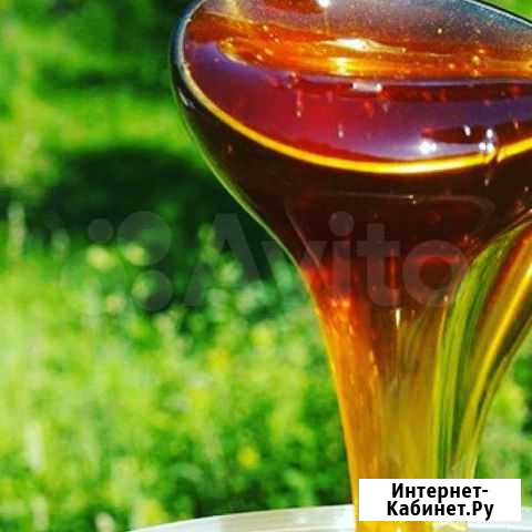 Мёд Новосибирск - изображение 1