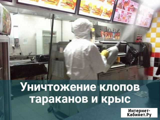 Обработка от клопов, тараканов муравьев Волгоград - изображение 1