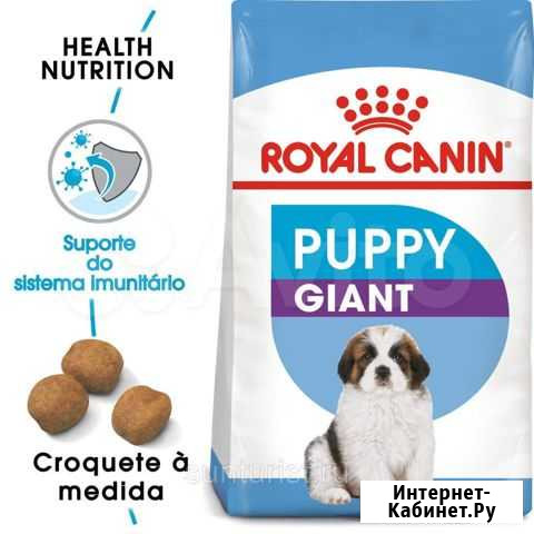 Royal Canin Старый Оскол - изображение 1