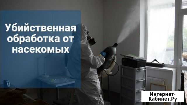 Обработка от клопов, тараканов муравьев Ростов-на-Дону - изображение 1