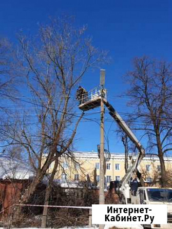 Спил деревьев, расчистка участка, обрезка веток Шилово - изображение 1