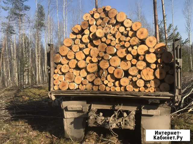 Продам Дрова Береза Томск - изображение 1
