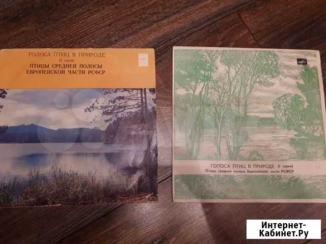 Голоса птиц в природе,Книга для зап, машина СССР Пермь - изображение 1