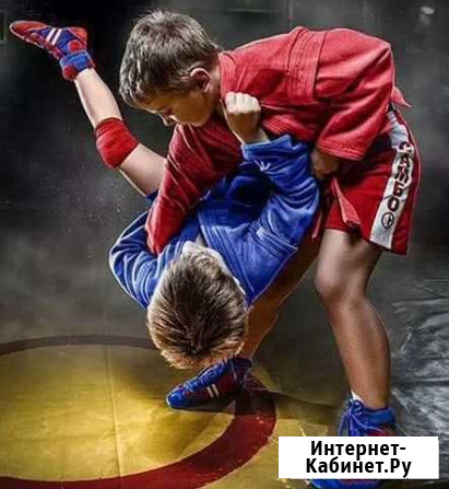 Борьба самбо, кикбоксинг, бокс Воронеж - изображение 1