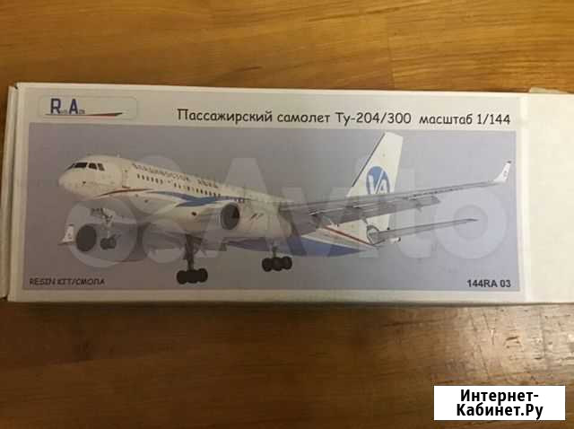 Сборная модель ту 204/300 Москва - изображение 1