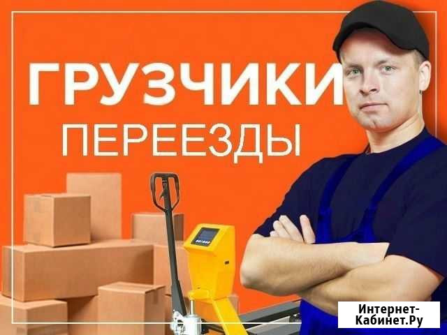 Грузчики, переезды, грузоперевозки, вывоз мусора Череповец - изображение 1