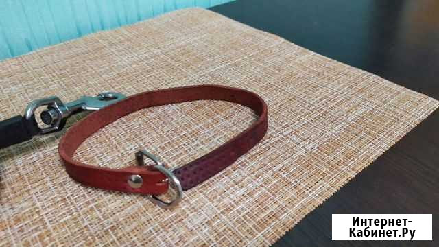 Ошейник для собак Егорьевск - изображение 1