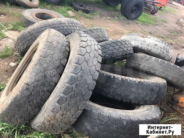 Резина Камаз б/у на септик Набережные Челны - изображение 1