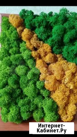 Пано из Стабилизированного Ягеля цветной Томск - изображение 1