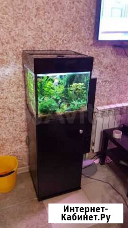 Аквариумный комплекс 40л Березовский - изображение 1