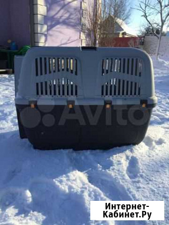 Продам бокс для перевозки крупных собак Ладушкин - изображение 1