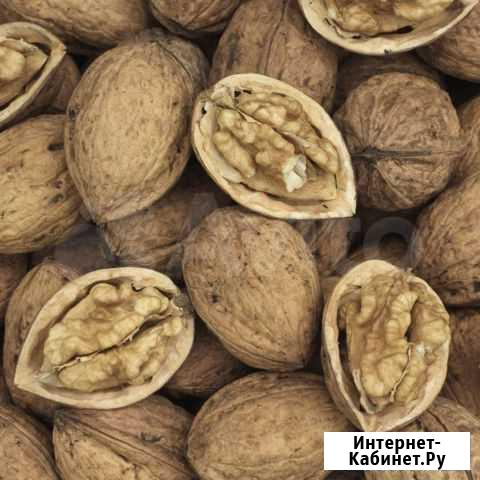 Продам грецкий орех Екатеринбург - изображение 1