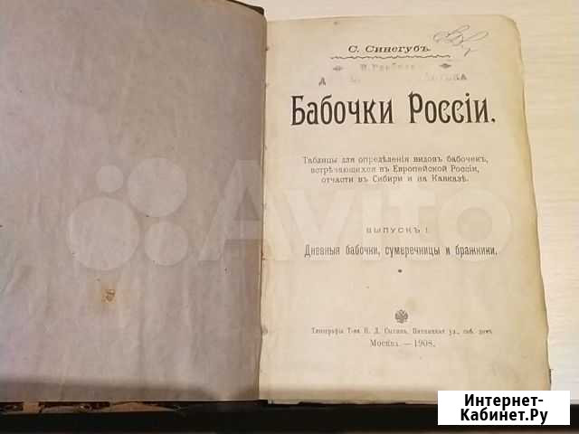 Книга 1908 года Бабочки России Омск - изображение 1