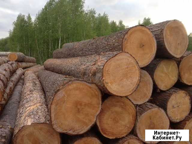Пиловочник Лотошино - изображение 1