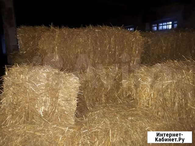 Солома в тюках, рулоны камыш с разнотравием Светлоград - изображение 1