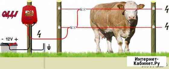 Электроизгородь для коров, телят, свиней, кроликов Магнитогорск