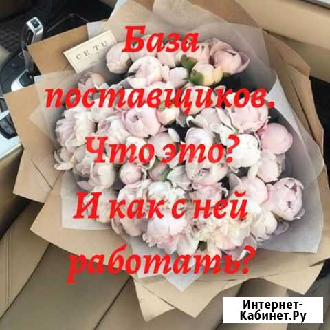 Курс База Поставщиков/Открой свой магазин Челябинск - изображение 1