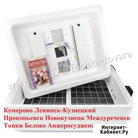 Инкубатор Несушка 36 63 104 яиц Кемерово - изображение 1
