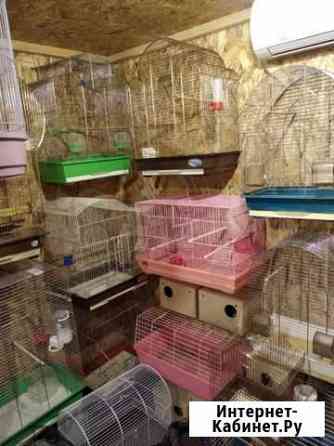 Клетки разные Екатеринбург