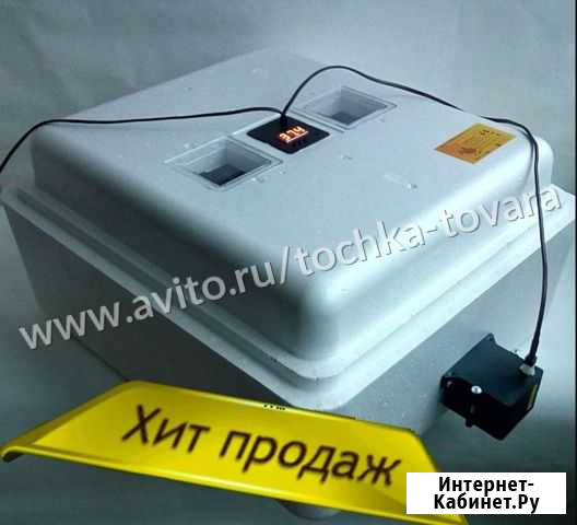 Инкубатор для яиц на 77 яиц бытовой Междуреченск - изображение 1