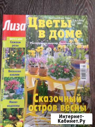 Лиза Цветы в доме,Своя дача Балашиха - изображение 1