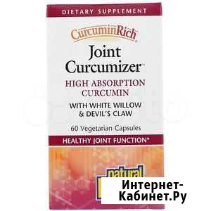 Natural Factors, CurcuminRich 60 капсул Казань - изображение 1