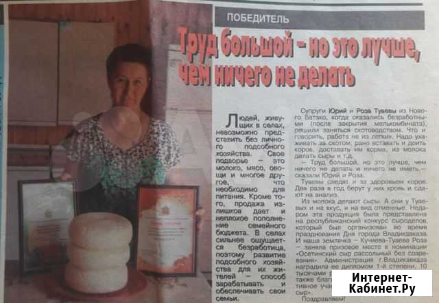 Осетинский сыр Беслан - изображение 1