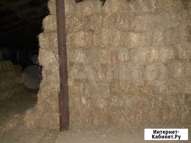 Солома ячменная Зимовники - изображение 1