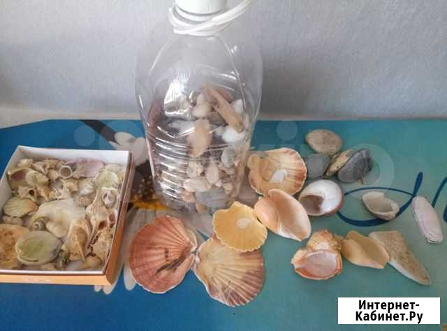 Ракушка и грунт для аквариума Ивантеевка - изображение 1