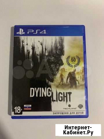 Dying light ps4 Ижевск - изображение 1